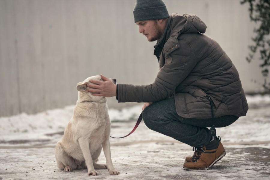 Comportementaliste canin : pourquoi en consulter une ?