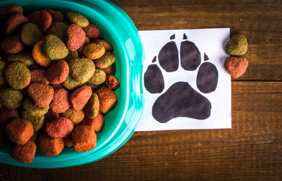 Croquette pour chien stérilisé : laquelle choisir ?