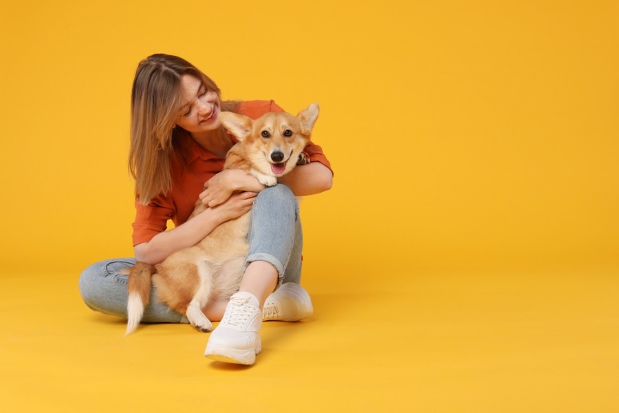 Qu'est-ce que le Dog sitting et comment ça marche ?