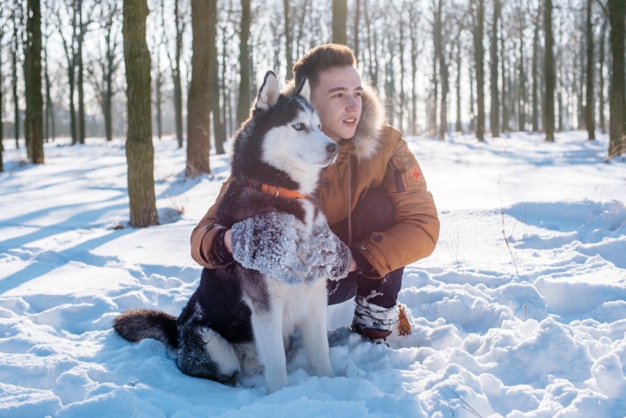 Est-ce que le husky blanc peut vivre en appartement ?