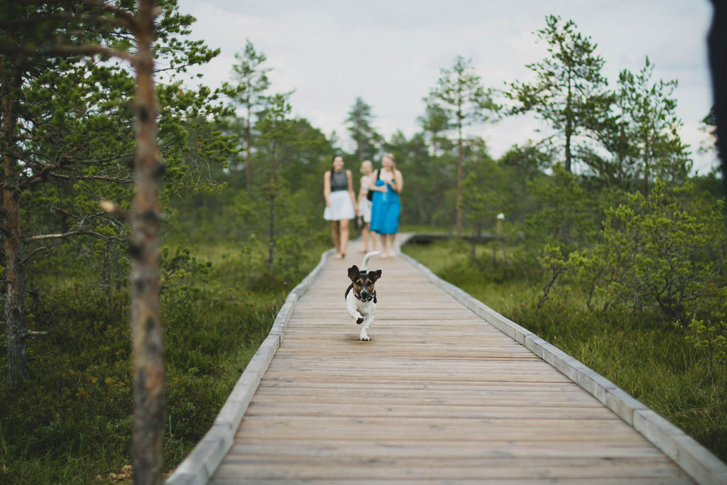 jouer avec son chien