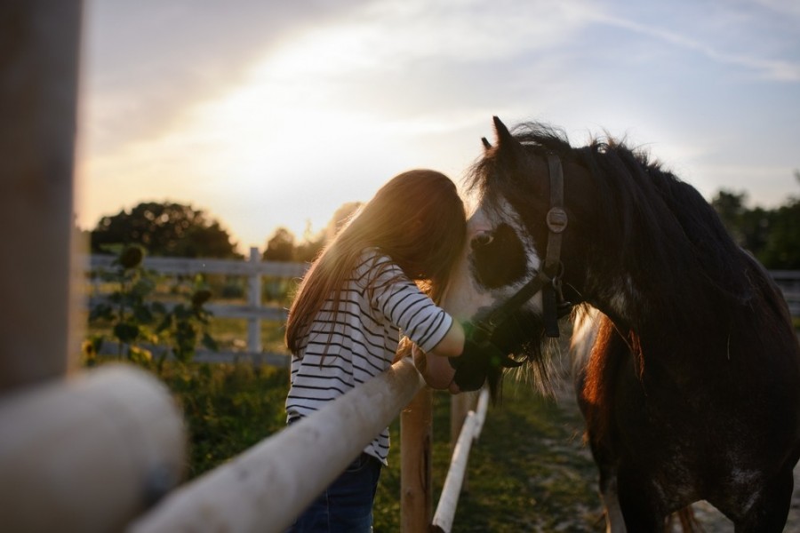 Quel nom de cheval choisir pour marquer les esprits ?