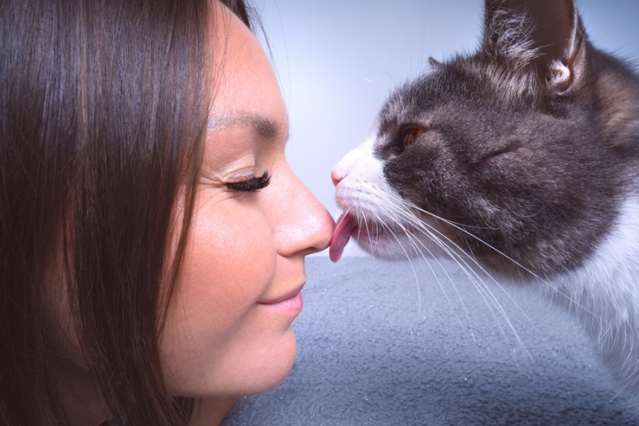 Pourquoi mon chat me lèche-t-il ?