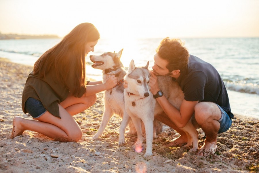 Quelle est l'histoire du husky blanc ?