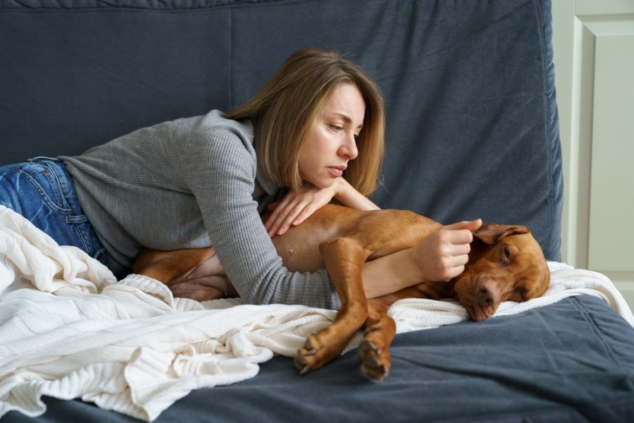 Quelles peuvent être les causes des vomissements jaunes chez un chien ?